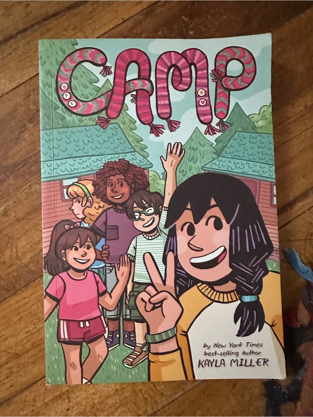 Camp Graphic Novel by - Pink & Green Cover